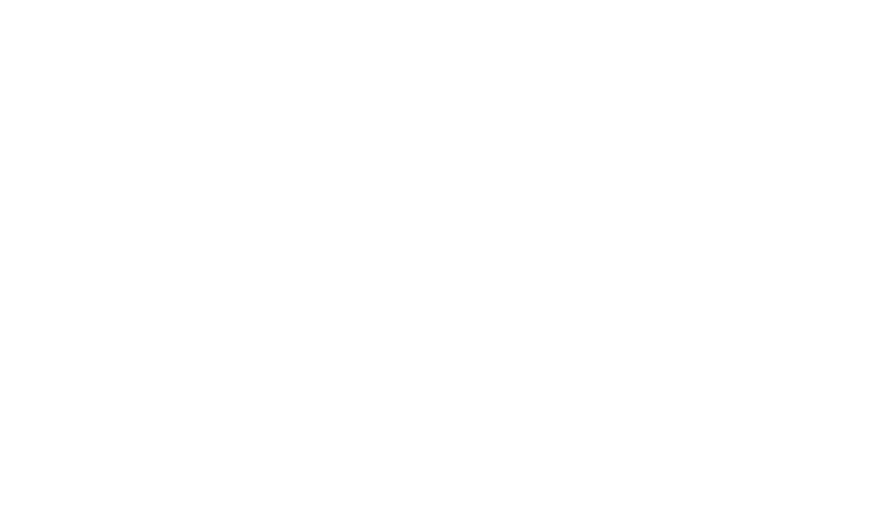 blaseconcept.com.br